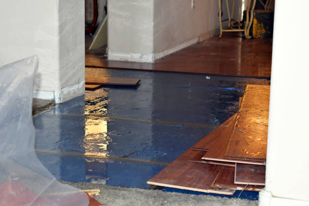 Professional Basement Water Removal technician working in Ben Wheeler, TX